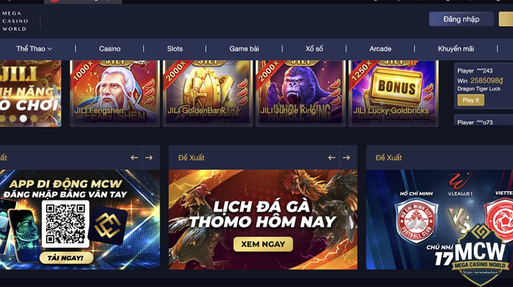 FAQs – Câu Hỏi Thường Gặp